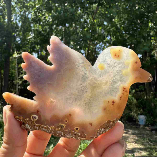 130g natural agate hand carved bird skull quartz crystal cluster reiki