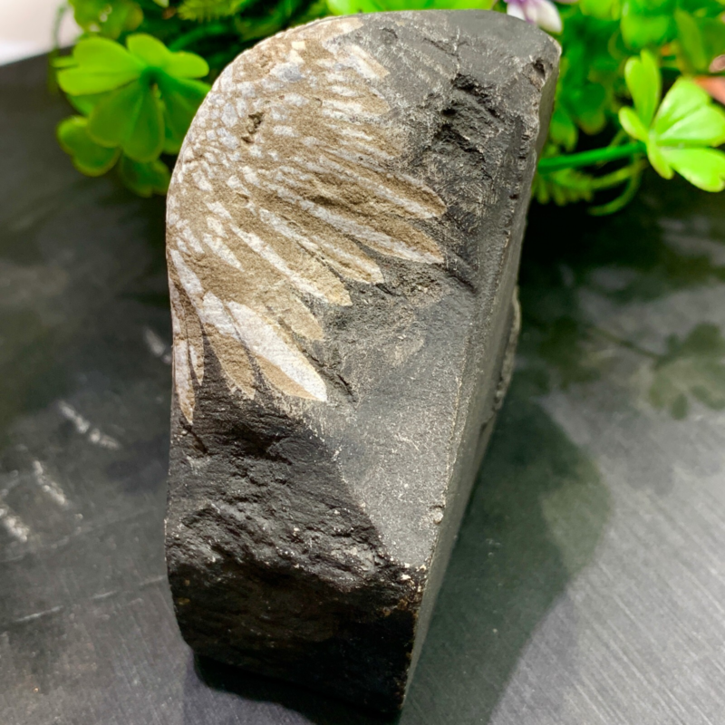240g Natural Gems Chrysanthemum Crystal Palm Stone Materials Energy Specimen