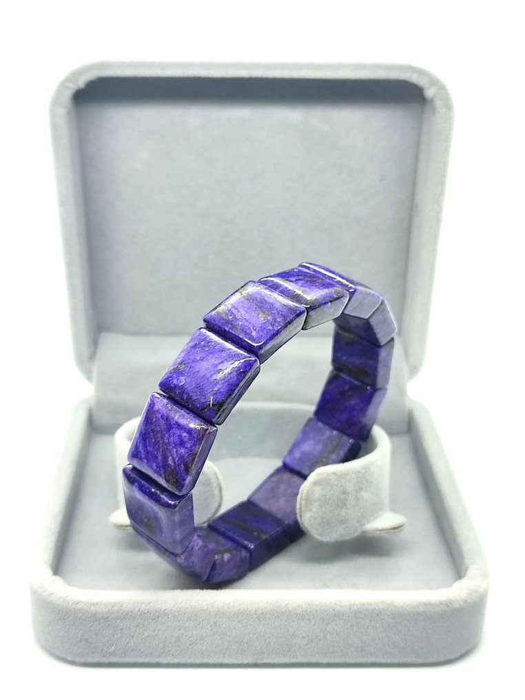 Beautiful Chariote Bracelet - Bracelet