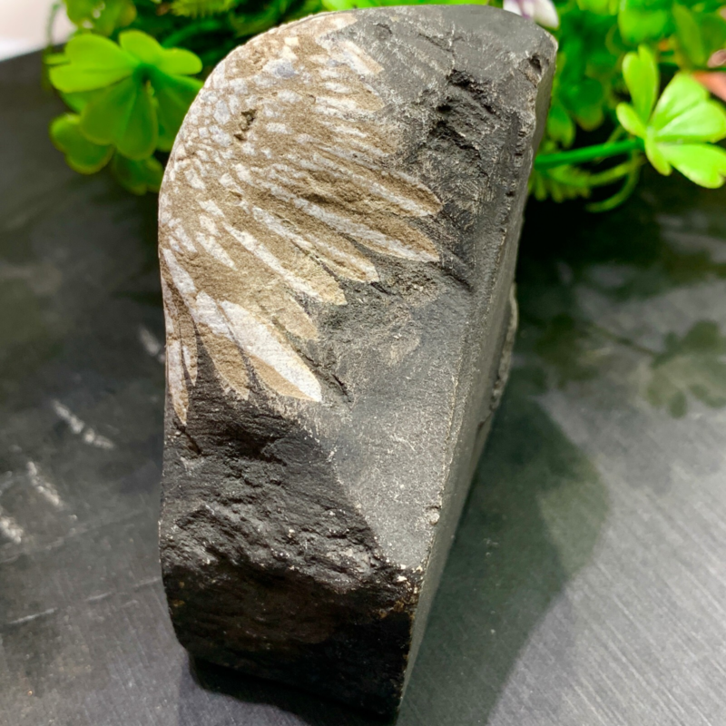 240g Natural Gems Chrysanthemum Crystal Palm Stone Materials Energy Specimen