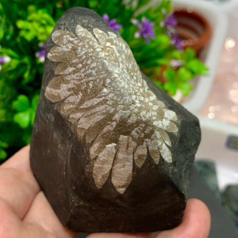 240g Natural Gems Chrysanthemum Crystal Palm Stone Materials Energy Specimen