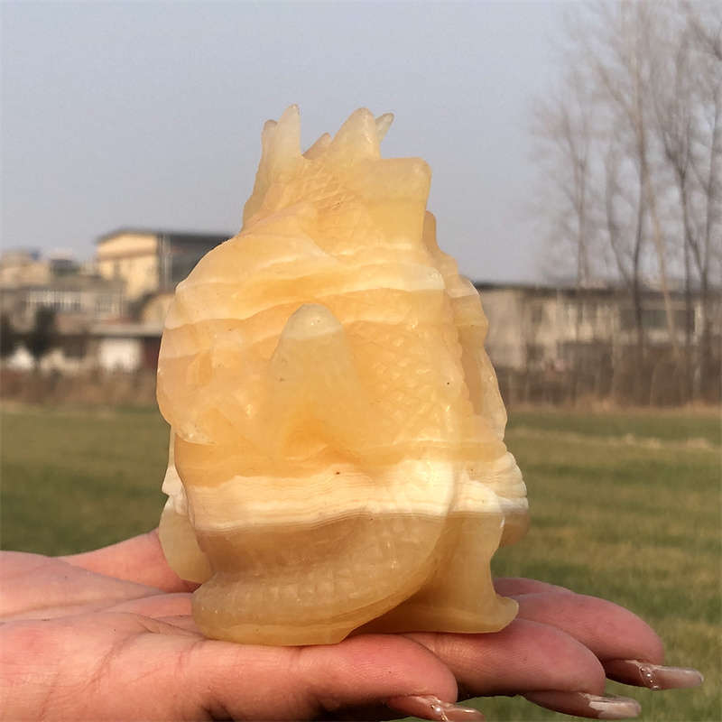 600g Natural carved geodes stone dragon Skull Reiki crystal skull decor crystal