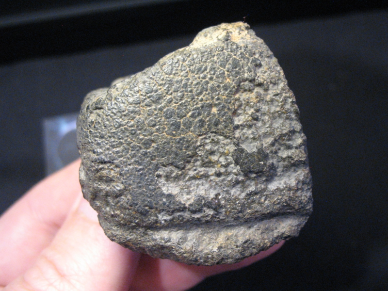 Meteorite NWA 16388 (CC) - Recrystallized Coarse Matrix - CK6 - MAIN MASS