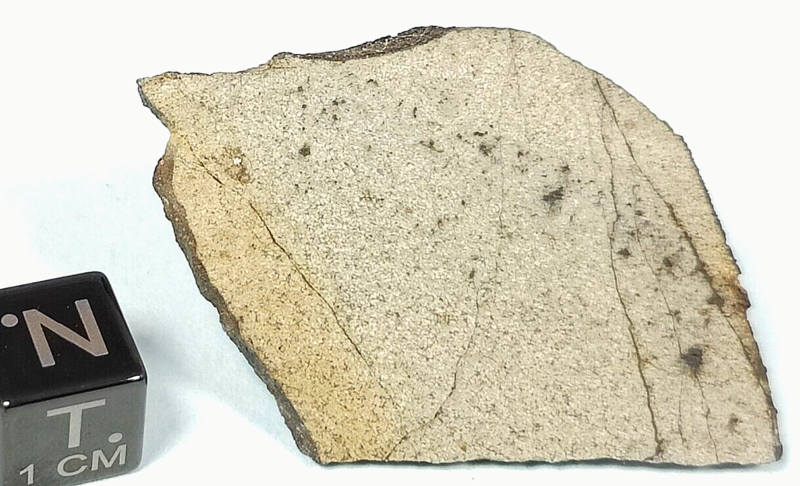 4.95 GR. SLICE NWA 13446 ACHONDRITE METEORITE, PARTIAL CRUST, OLIVINE RICH