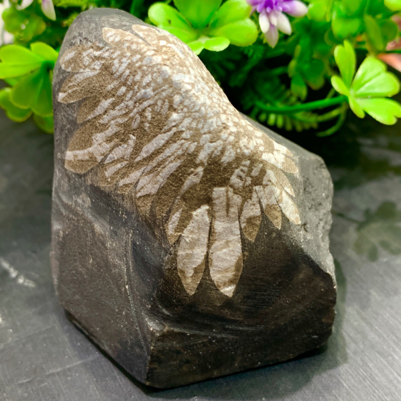 240g Natural Gems Chrysanthemum Crystal Palm Stone Materials Energy Specimen