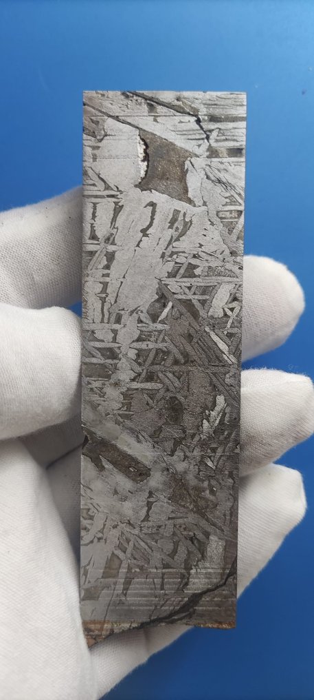 ALETAI meteorite - Iron IIIE-an - 199gr - Height: 105 mm - Width: 30 mm - 199 g