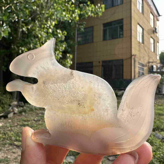 110g natural agate hand carved squirrel skull quartz crystal cluster reiki