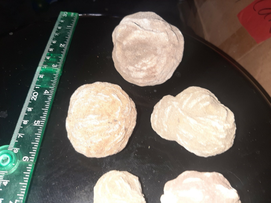 Seven pieces selenite desert rose crystal rocks ,gypsum stone, sand color