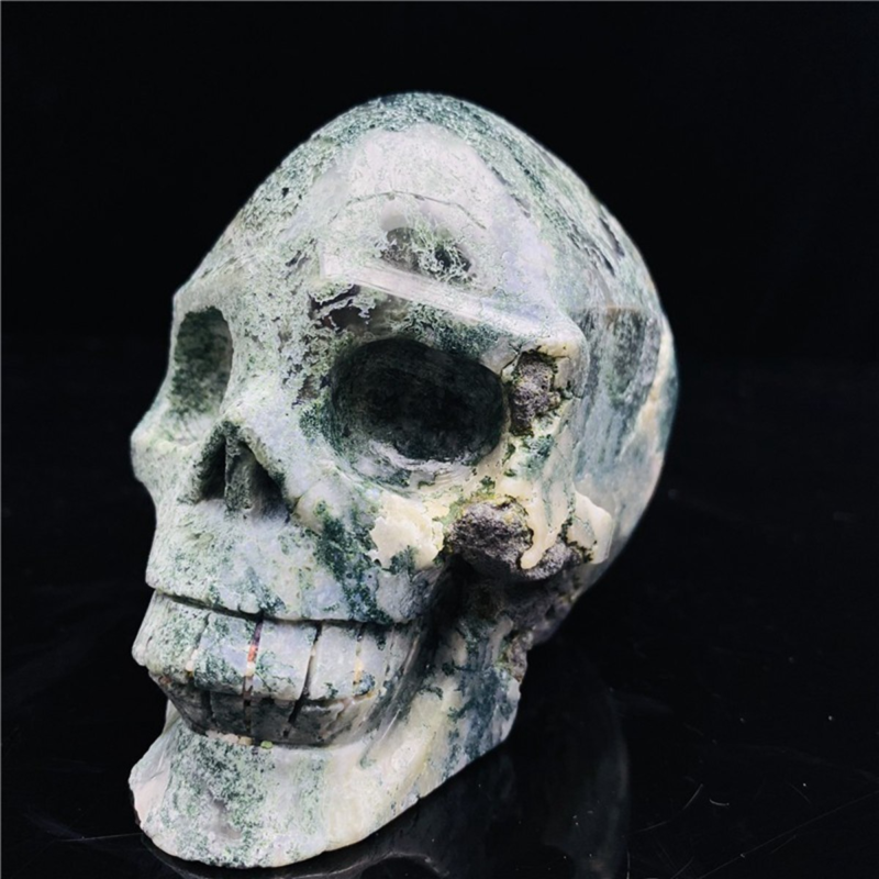 730gNatural Nice Aquatic agate Quartz Skull Hand Carved Crystal Healing Skull