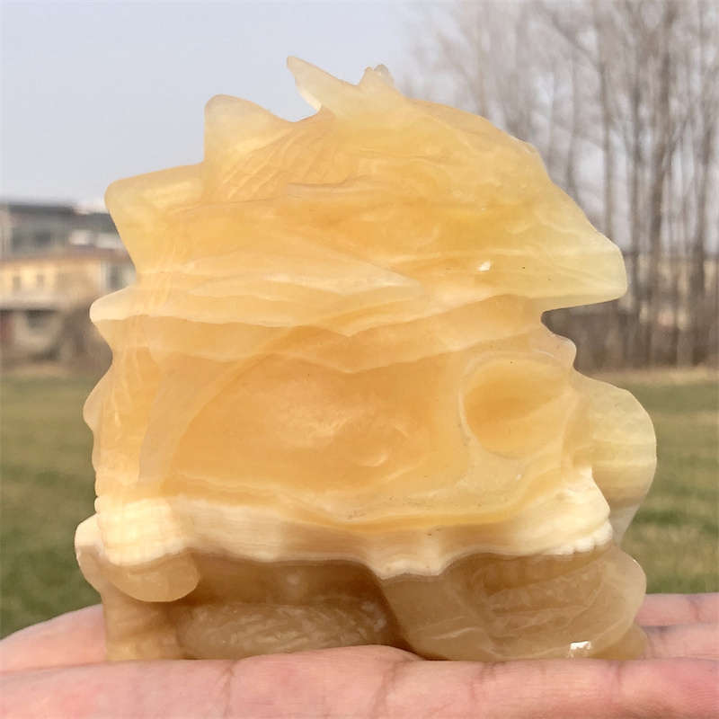 600g Natural carved geodes stone dragon Skull Reiki crystal skull decor crystal