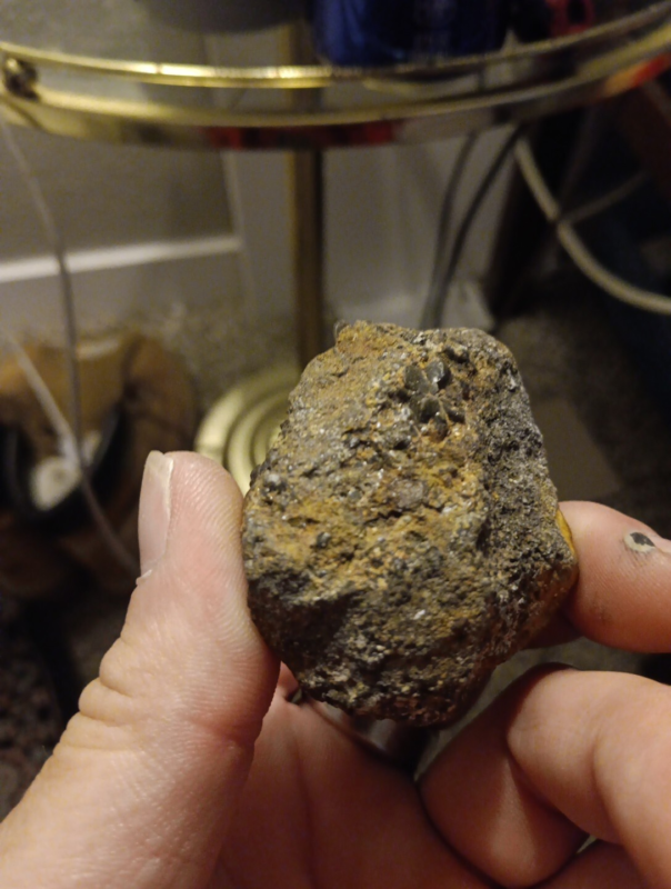 iron meteorites for sale