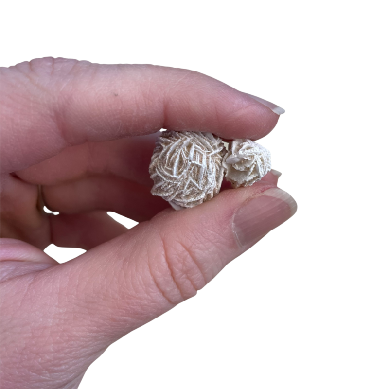 1/2 lb Mini Desert Rose Sand Selenite Gypsum Gemstone Crystal Baryte Specimens