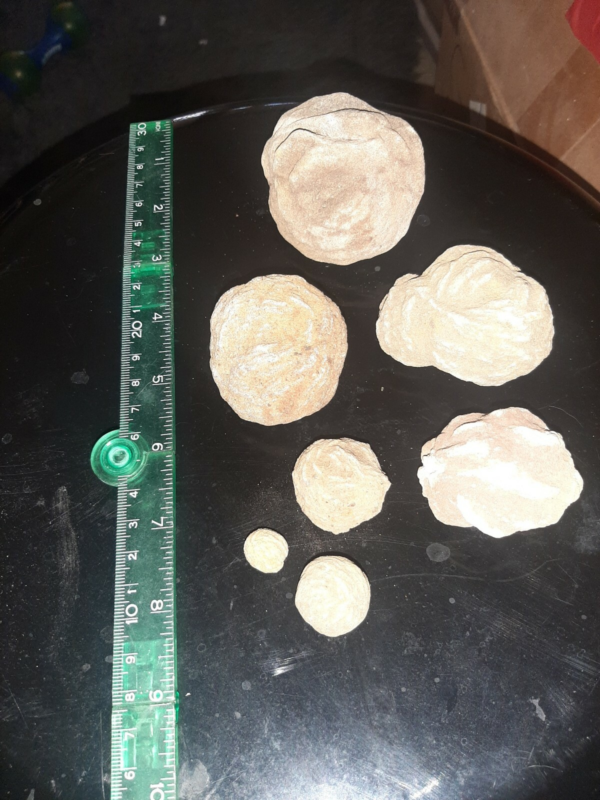 Seven pieces selenite desert rose crystal rocks ,gypsum stone, sand color