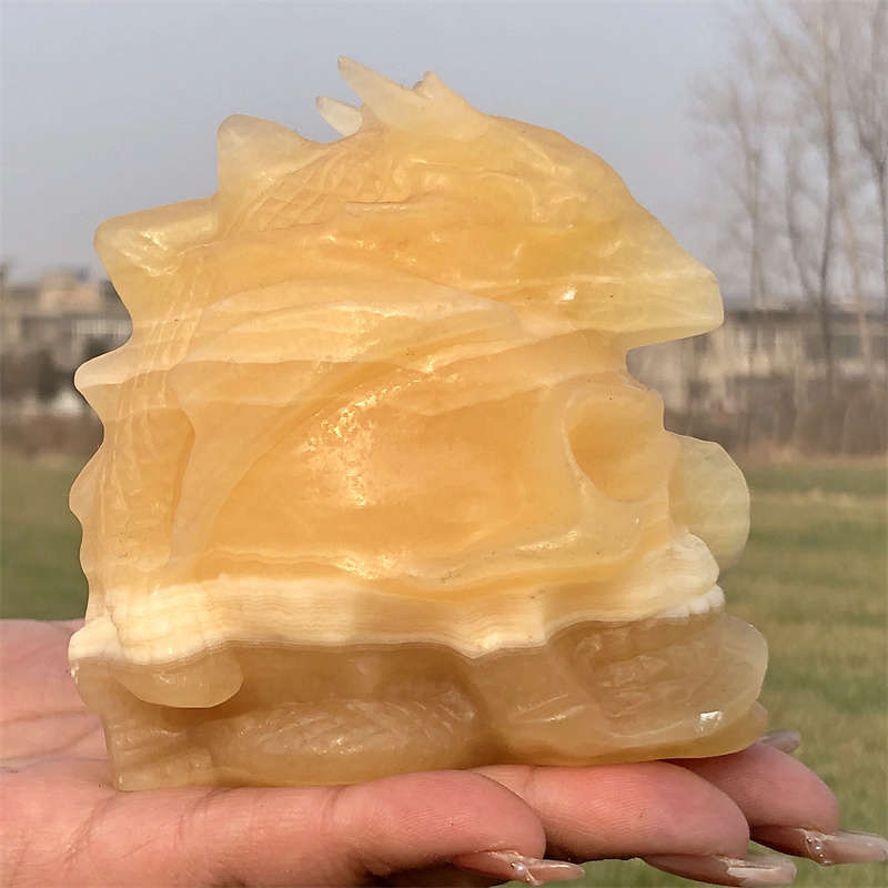 600g Natural carved geodes stone dragon Skull Reiki crystal skull decor crystal