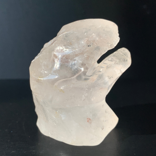 1Natural Transparent Quartz Quartz Hand Carved Crystal Dinosaur Skull Healing