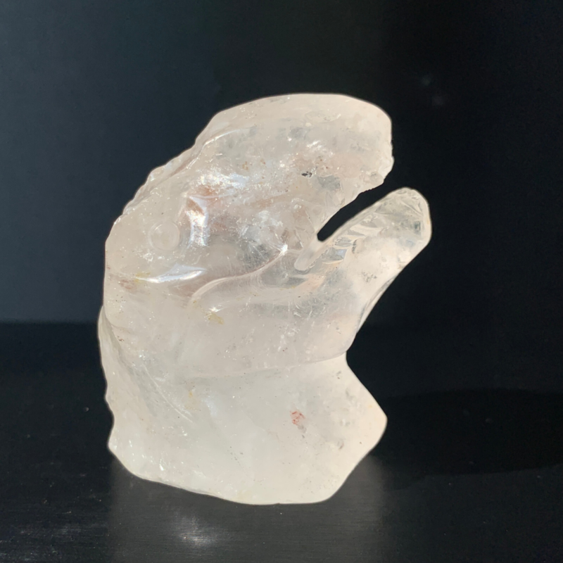 1Natural Transparent Quartz Quartz Hand Carved Crystal Dinosaur Skull Healing