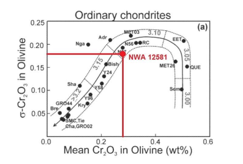 Meteorite NWA 12581 - Very Primitive Chondrite - LL3.10 (one of six classified)