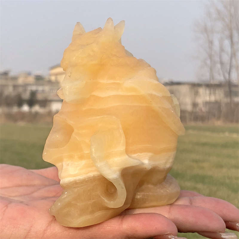 600g Natural carved geodes stone dragon Skull Reiki crystal skull decor crystal
