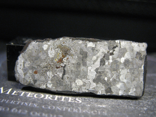 Meteorite NWA 15821 - Iron - Ungrouped