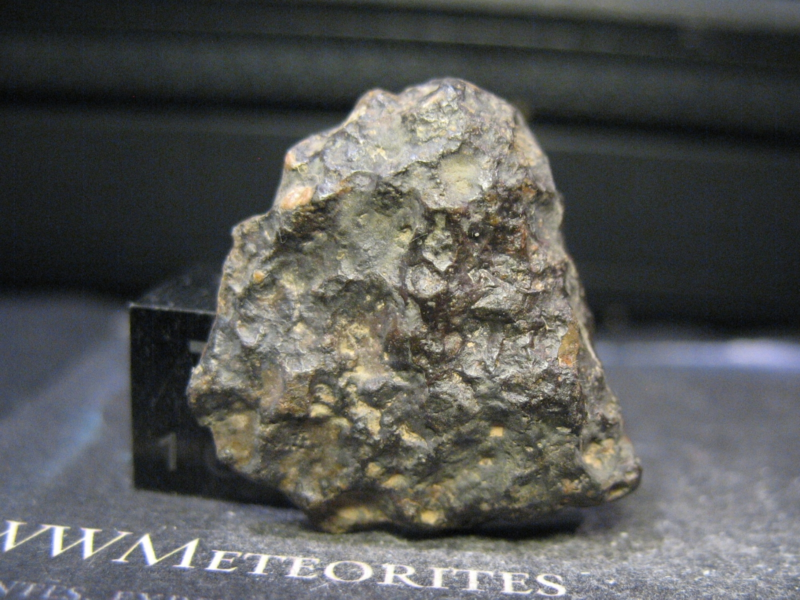 Meteorite NWA 10305 - Carbonaceous chondrite, CAI rich - CV3