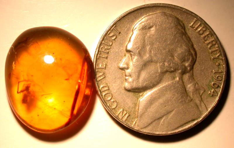 Beautiful Spider with Fly in Burmite Burmese Amber Fossil Gemstone Dinosaur Age
