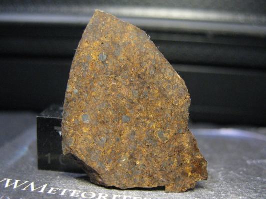 Meteorites NWA 8784 - Good Shape,Medium Size Spherulite (1.2±0.6 mm)