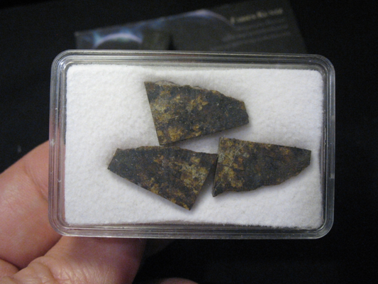 Meteorite NWA 12845 - Brecciated L6 chondrite
