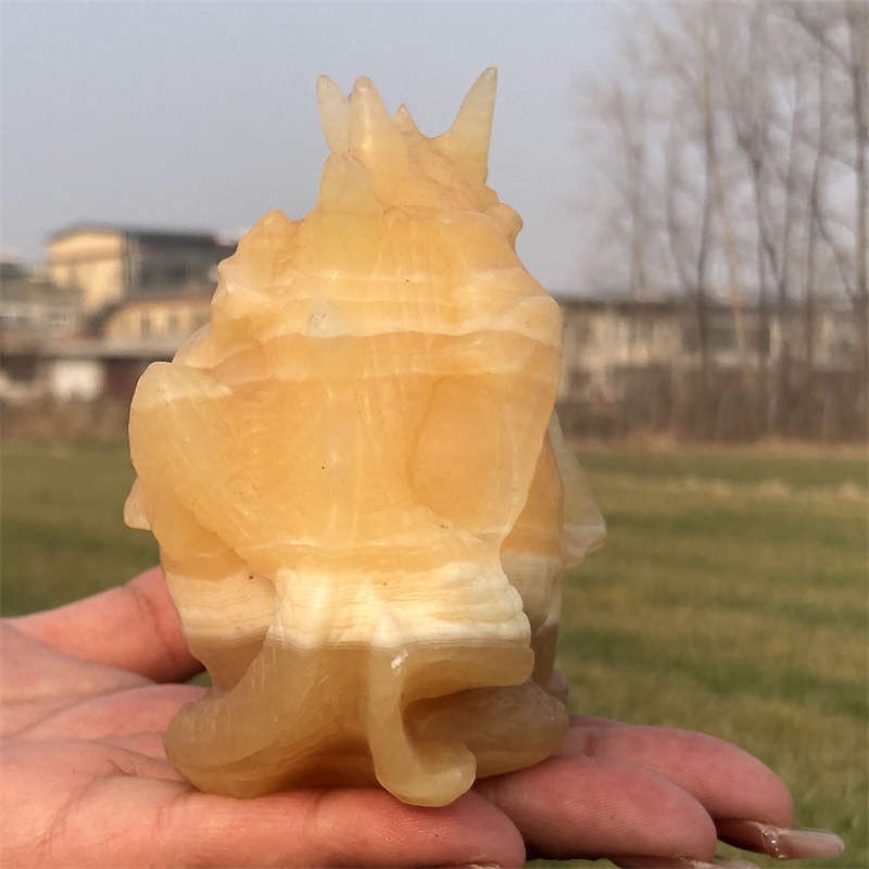 600g Natural carved geodes stone dragon Skull Reiki crystal skull decor crystal