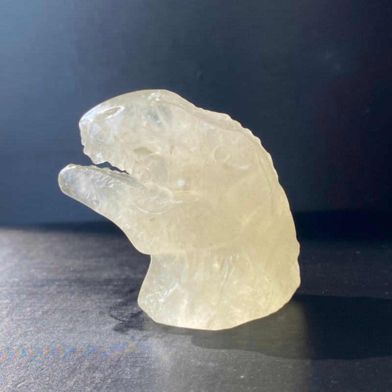 102Gram Natural Citrine Quartz Hand Carved Crystal Dinosaur Skull Healing