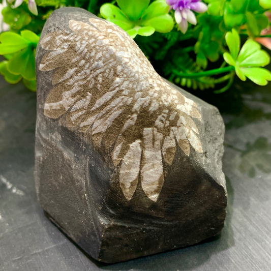 240g Natural Gems Chrysanthemum Crystal Palm Stone Materials Energy Specimen