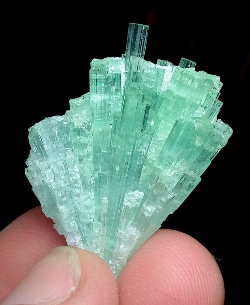 Tourmaline Specimen - Height: 25 mm - Width: 11 mm- 7 g - (1)