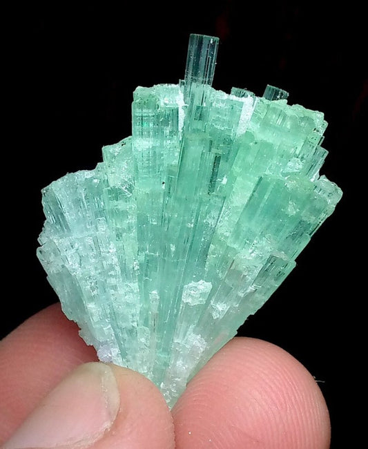 Tourmaline Specimen - Height: 25 mm - Width: 11 mm- 7 g - (1)