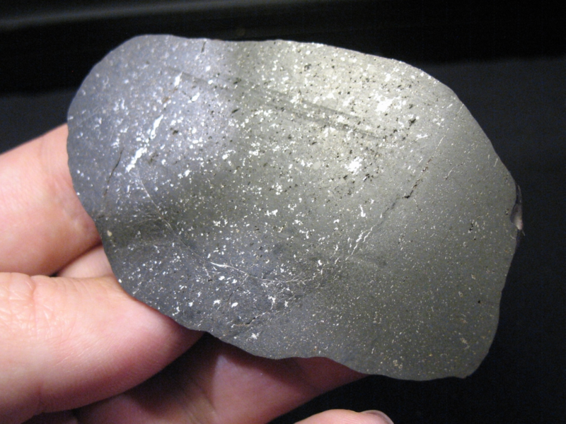 Meteorite NWA 10075 - Vacuolar black L5 - Full slice with Melt