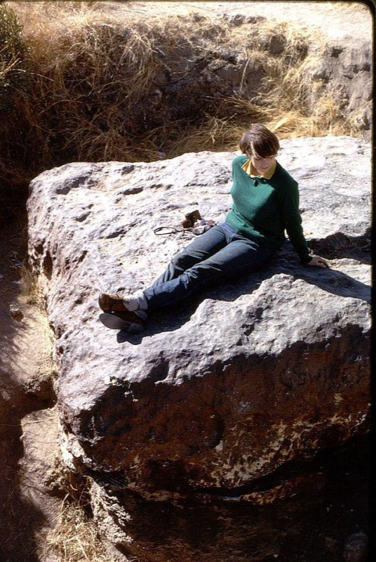 Meteorite HOBA (World largest meteorite!) - Ataxite IVB