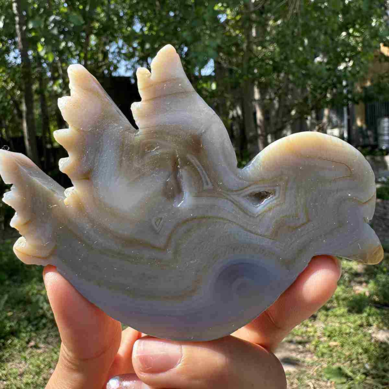 145g natural agate hand carved bird skull quartz crystal cluster reiki