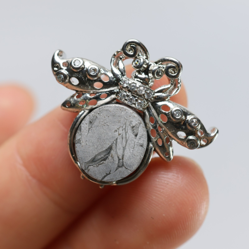 Muonionalusta meteorite Necklace pendant，Butterfly Pendant R1416