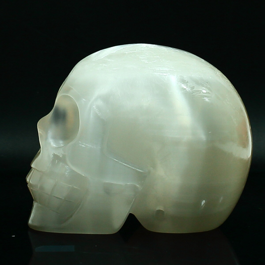 1070g Natural White Selenite Hand Carved Crystal Skull Quartz Meditation Medium