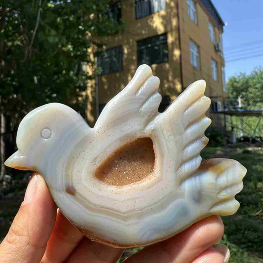 135g natural agate hand carved bird skull quartz crystal cluster reiki
