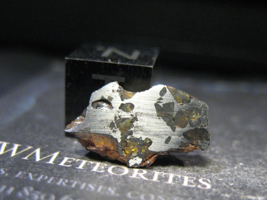 Meteorite NWA 14799 - Pallasite - Subrounded Olivines set in a Metal Network
