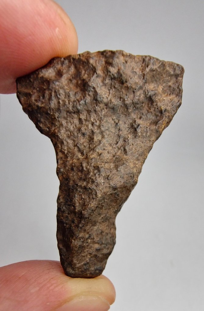 This is 1 of only 8 Meteorite approved as Achondrite-Primitive-Ungrouped. NWA 15061 - 26.26 g - (1)