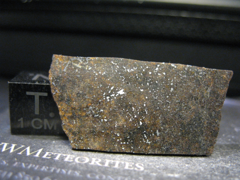 Meteorite NWA 13839 - Acapulcoite - Equigranular Rock with Granoblastic Texture