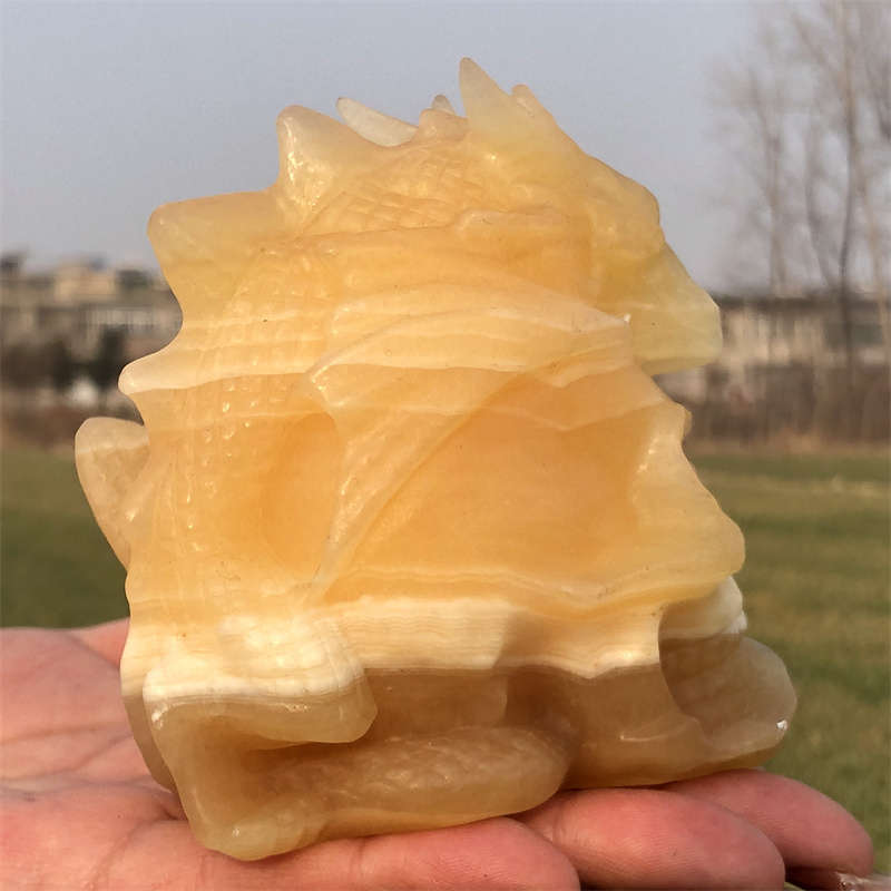 600g Natural carved geodes stone dragon Skull Reiki crystal skull decor crystal