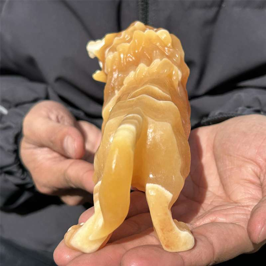 0.56kg Natural yellow calcite lion skull carved Quartz Crystal skull Healing