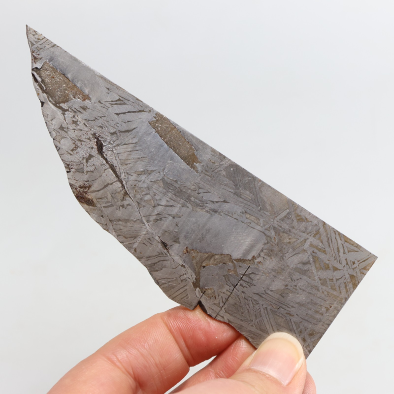 51g Slice meteorite,  Iron Meteorite part slice,Meteor wish,Collection F285