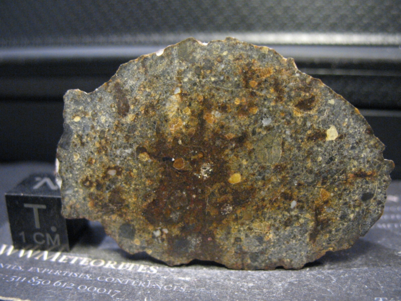 Meteorite NWA 11491 - Eucrite Polymict... - LAST SPECIMEN - MAIN MASS