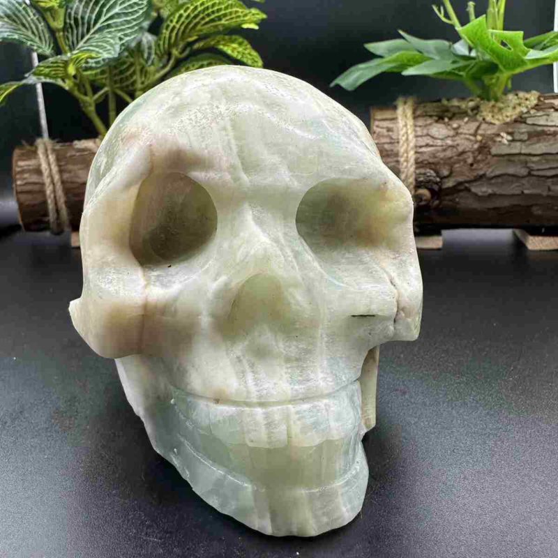 1545g natural Caribbean calcite hand carved skull quartz crystal healing decor