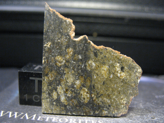 Meteorites NWA 11493 - Shocked Monomict Microgabbroic, Melt-Matrix Breccia