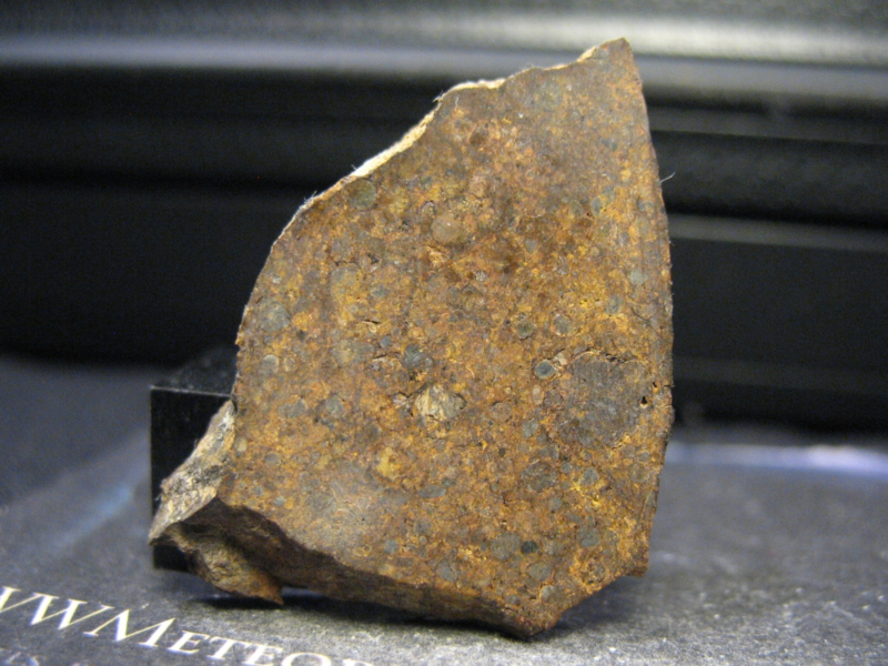 Meteorites NWA 8784 - Good Shape,Medium Size Spherulite (1.2±0.6 mm)