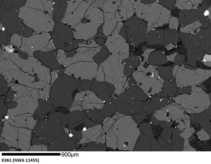 Meteorite NWA 11455 - Unbrecciated Microgabbroic Eucrite