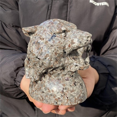 1.31kg Natural Carved Yooperlite Tiger Head Figurines Reiki Quartz Crystal Skull